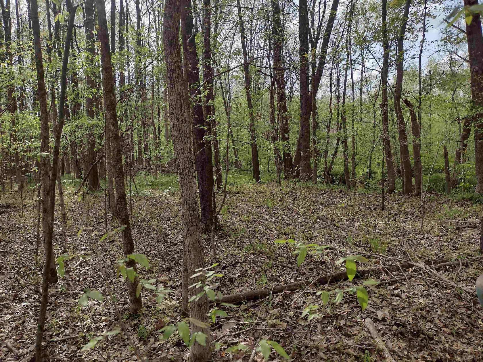 4 Acres of Residential Land for Sale in Bartlett, Tennessee