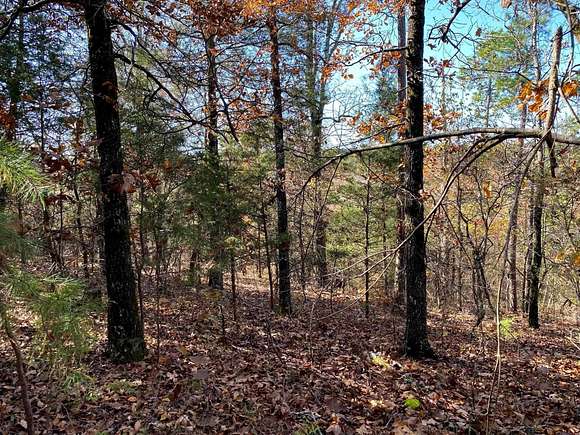 85 Acres of Recreational Land for Sale in Scotland, Arkansas