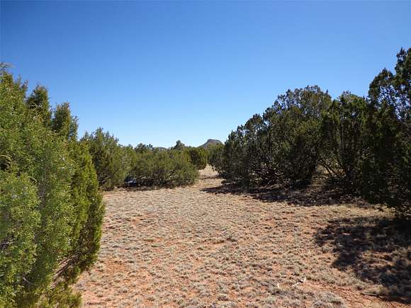 25 Acres of Land for Sale in Bernal, New Mexico