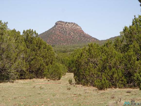 25 Acres of Land for Sale in Bernal, New Mexico