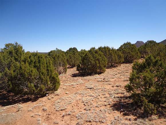 28.5 Acres of Land for Sale in Bernal, New Mexico