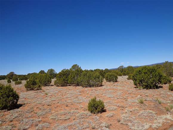 34.1 Acres of Land for Sale in Bernal, New Mexico