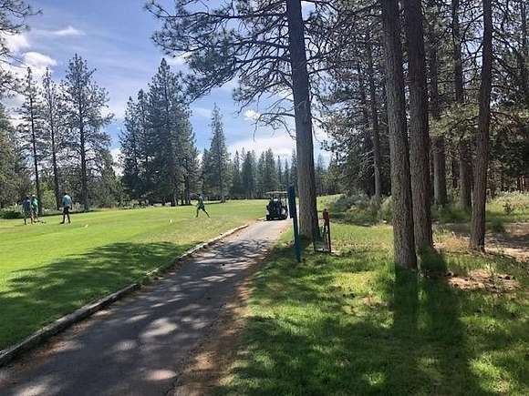 0.28 Acres of Residential Land for Sale in Weed, California