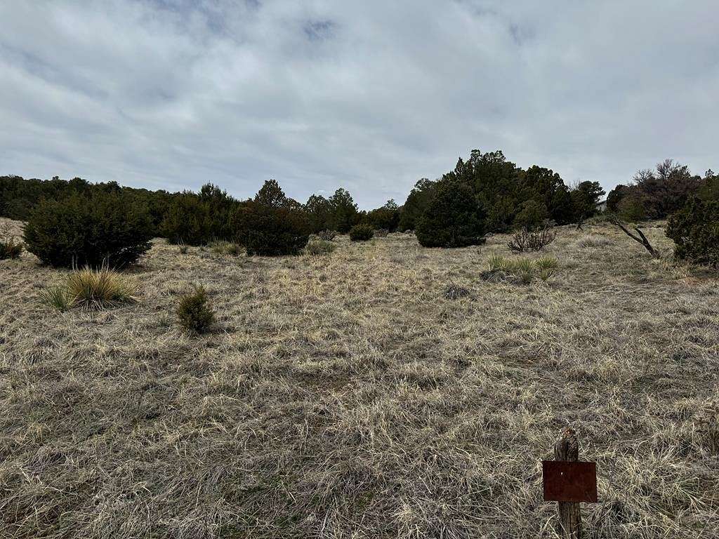 3.2 Acres of Residential Land for Sale in Walsenburg, Colorado