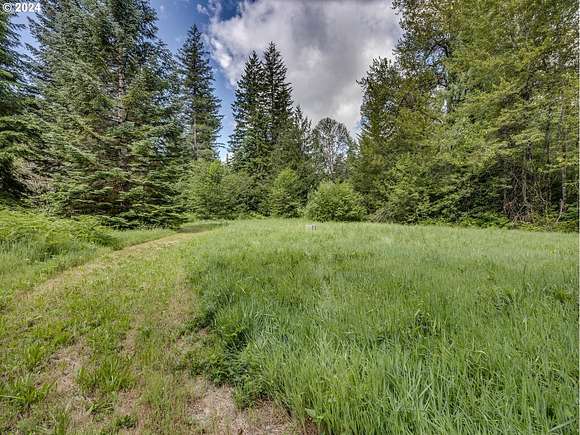 15.27 Acres of Recreational Land for Sale in Rhododendron, Oregon