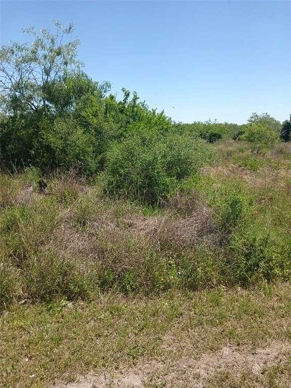 0.28 Acres of Residential Land for Sale in Sandia, Texas