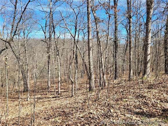 3.1 Acres of Residential Land for Sale in Edwards, Missouri