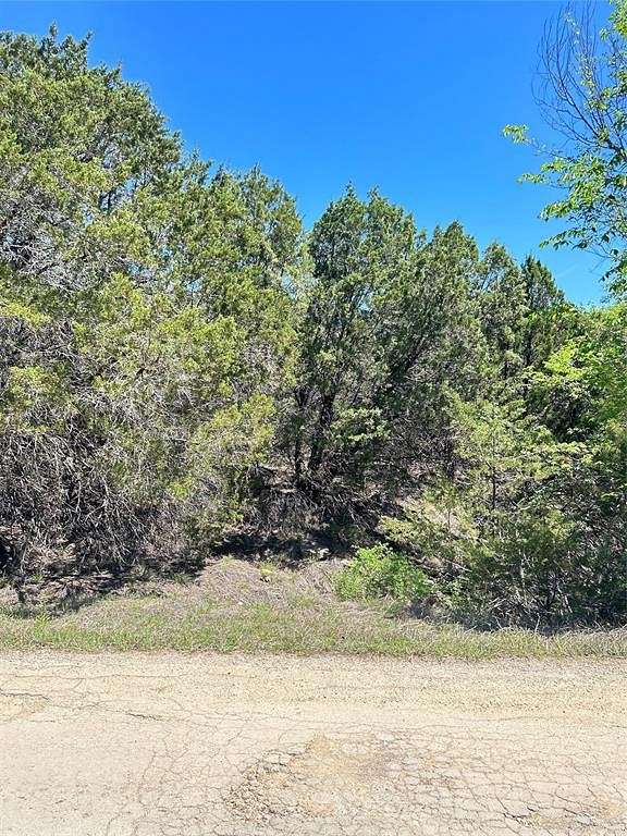0.23 Acres of Residential Land for Sale in Granbury, Texas