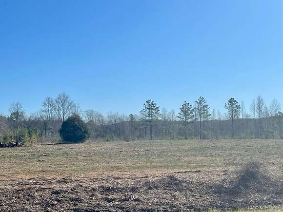 3 Acres of Land for Sale in Luverne, Alabama