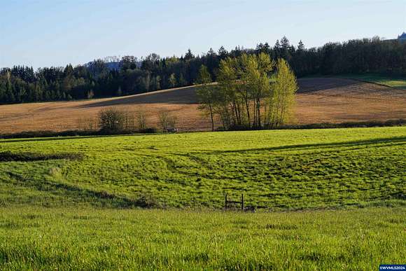 34.3 Acres of Land for Sale in Amity, Oregon