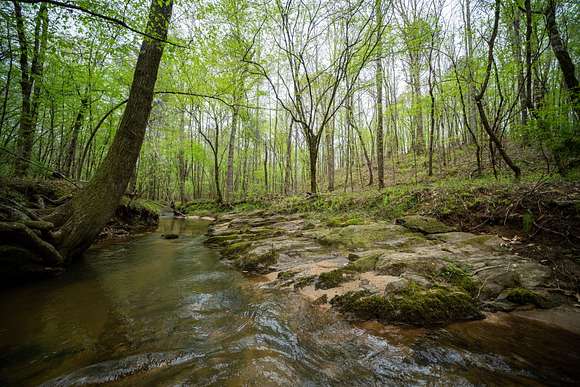 199 Acres of Recreational Land for Sale in Wetumpka, Alabama