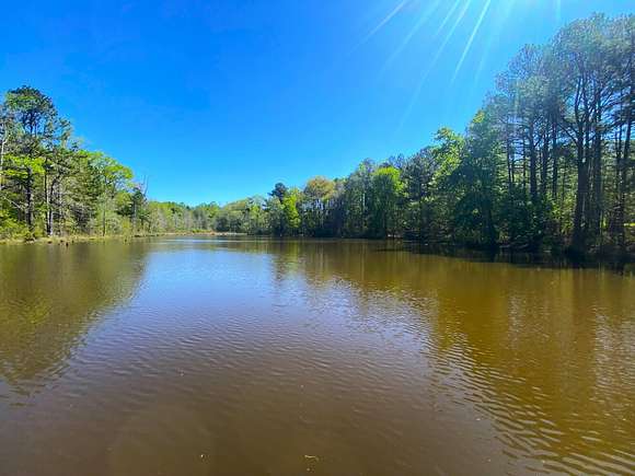 48 Acres of Land for Sale in Sawyerville, Alabama