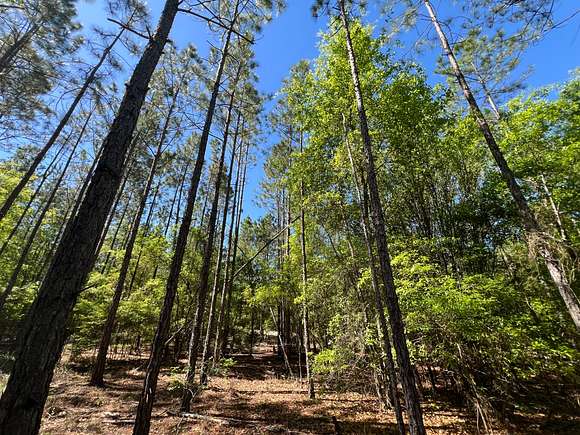 6.5 Acres of Residential Land for Sale in Gordon, Alabama