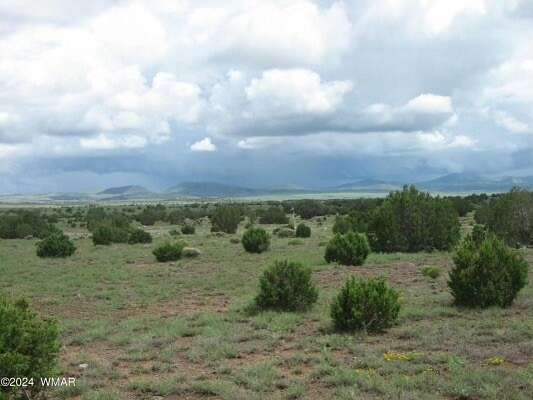6 Acres of Residential Land for Sale in Concho, Arizona