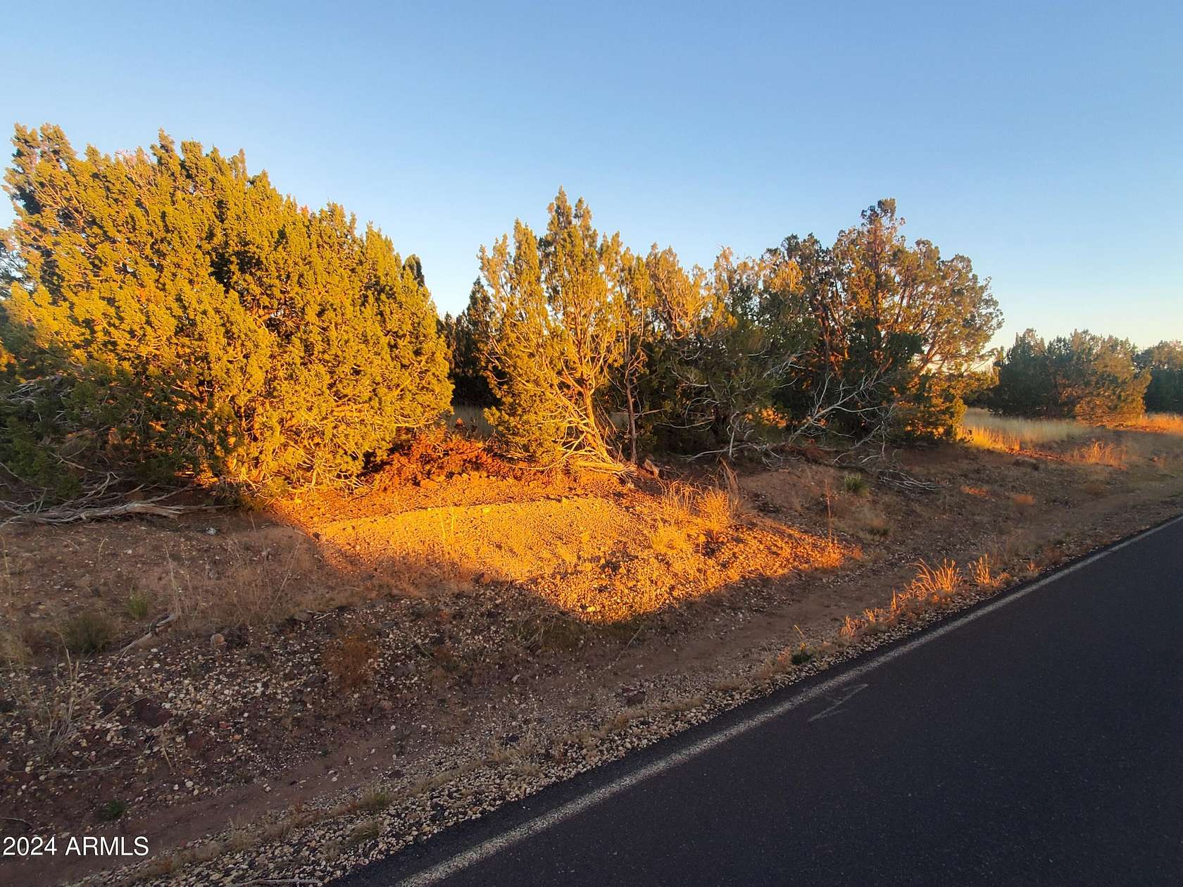 10.1 Acres of Land for Sale in Concho, Arizona