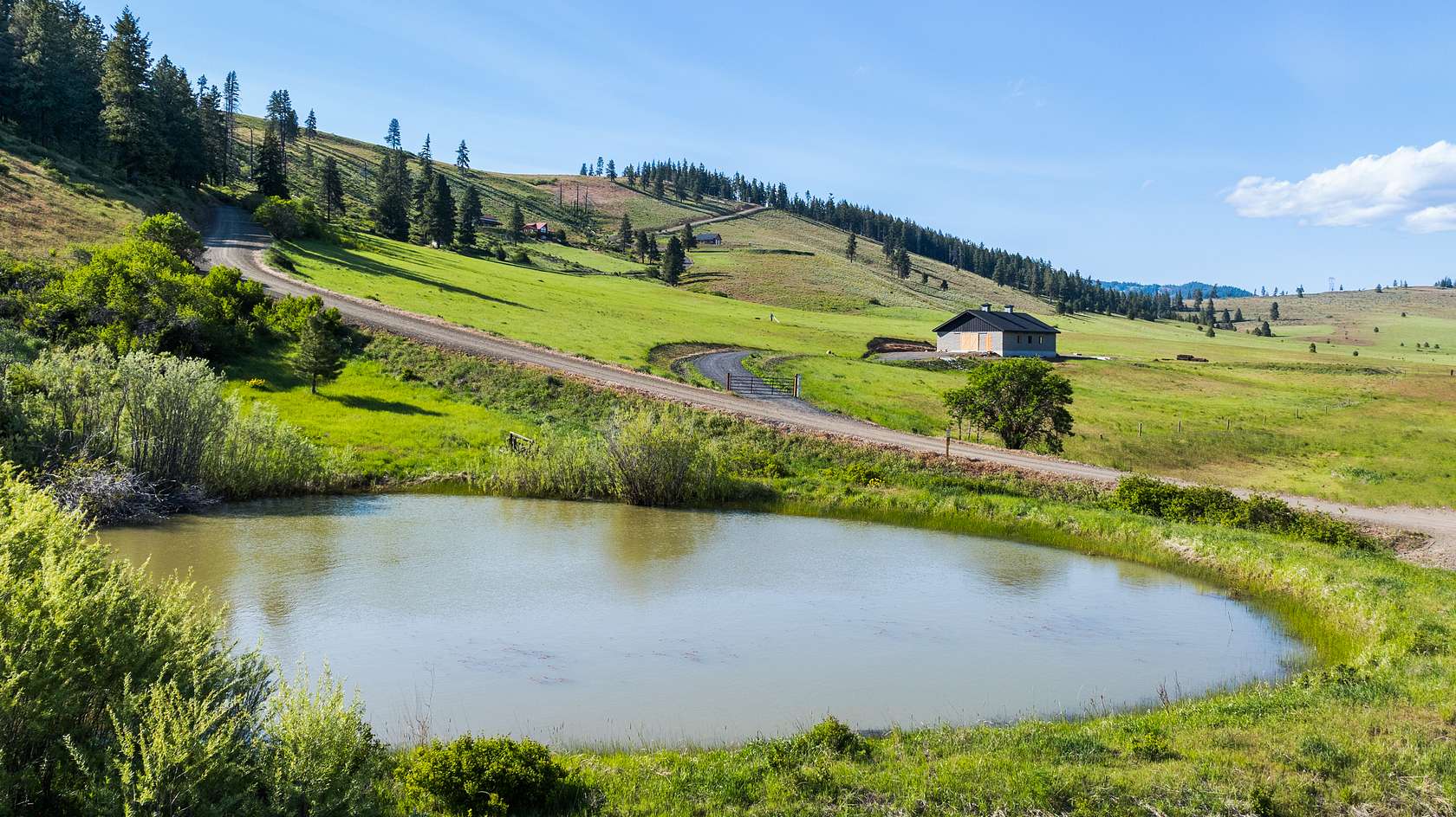 49.5 Acres of Improved Agricultural Land for Sale in Cle Elum