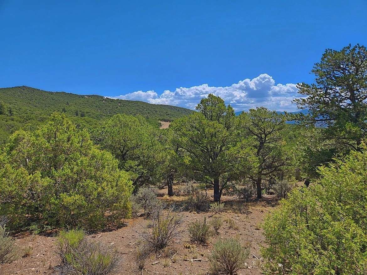 7.2 Acres of Residential Land for Sale in Fort Garland, Colorado