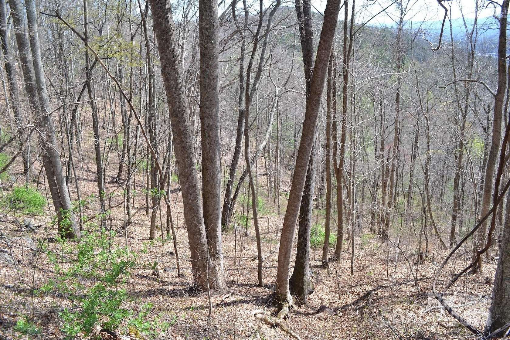 2 Acres of Residential Land for Sale in Asheville, North Carolina