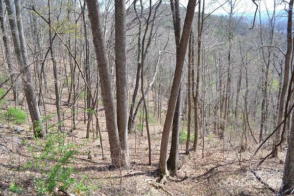 2 Acres of Residential Land for Sale in Asheville, North Carolina