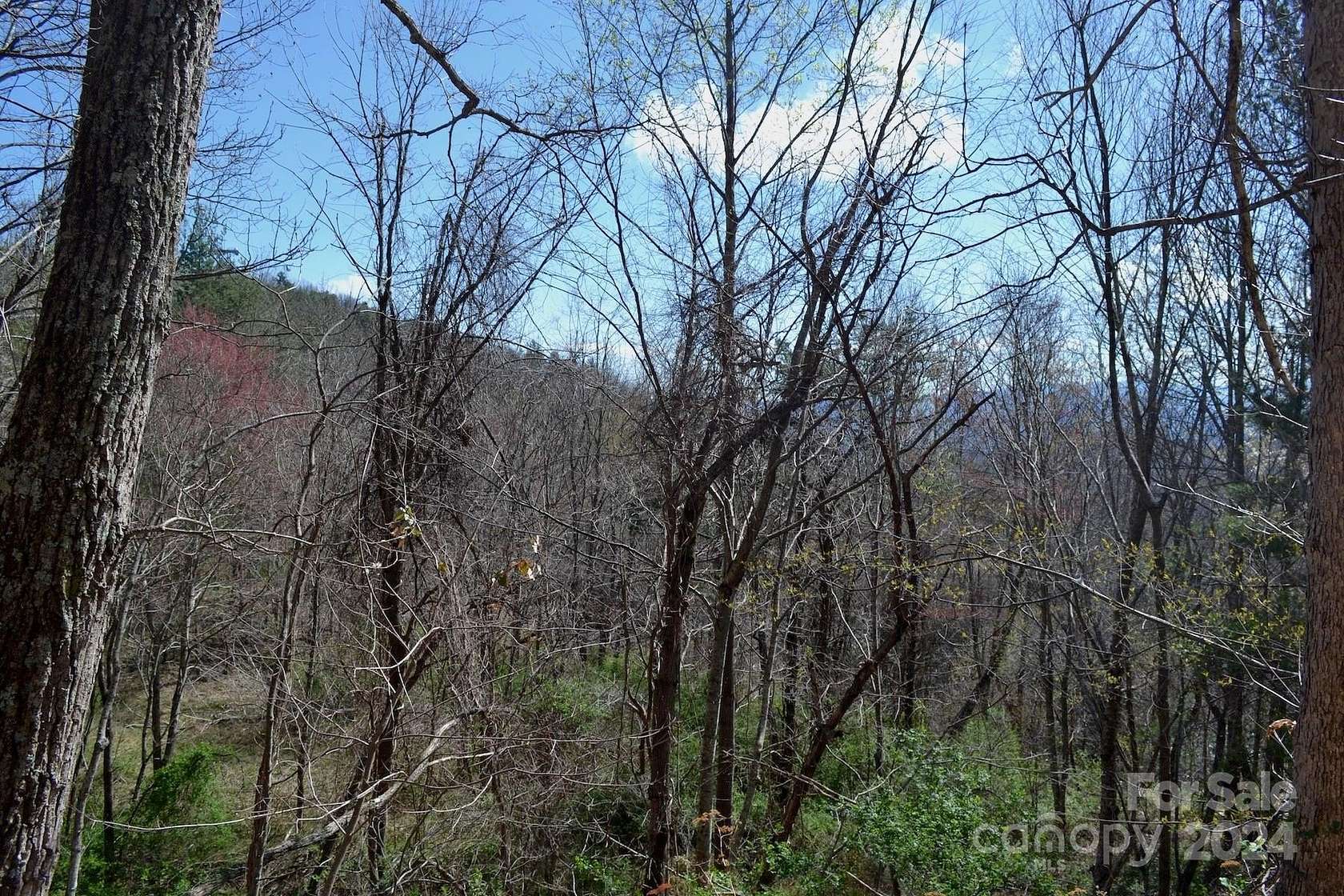 1.74 Acres of Residential Land for Sale in Asheville, North Carolina