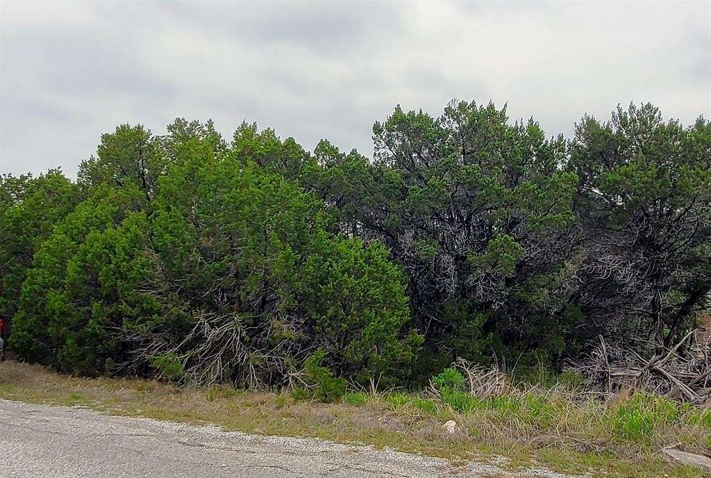 0.02 Acres of Land for Sale in Granbury, Texas