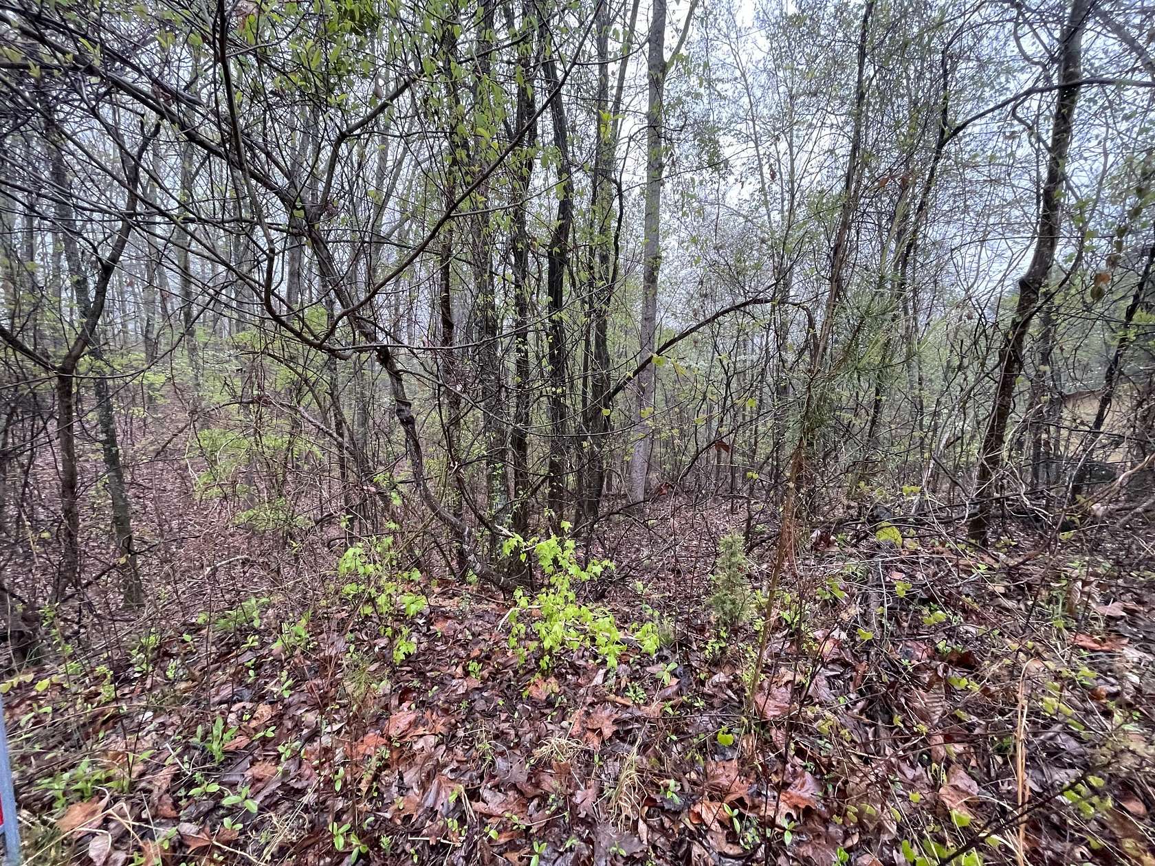 0.35 Acres of Residential Land for Sale in Spring City, Tennessee