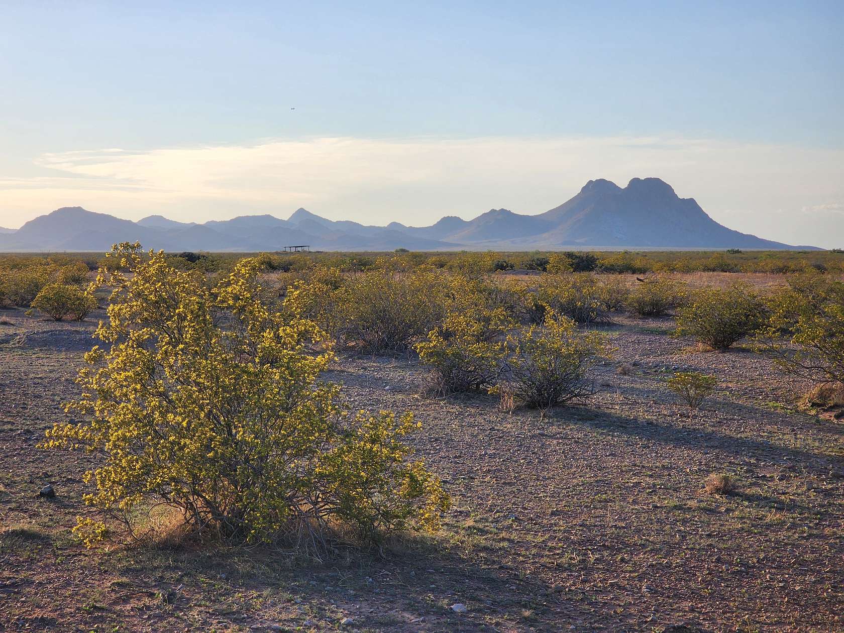 0.5 Acres of Residential Land for Sale in Deming, New Mexico