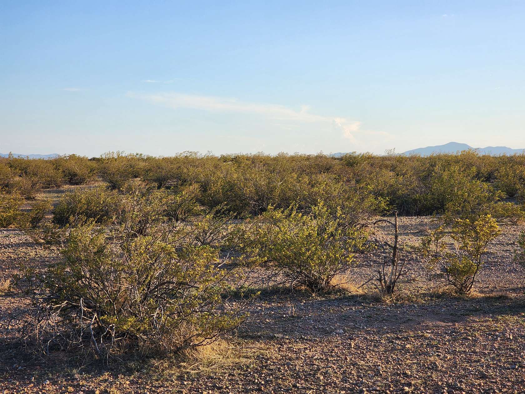 0.5 Acres of Residential Land for Sale in Deming, New Mexico