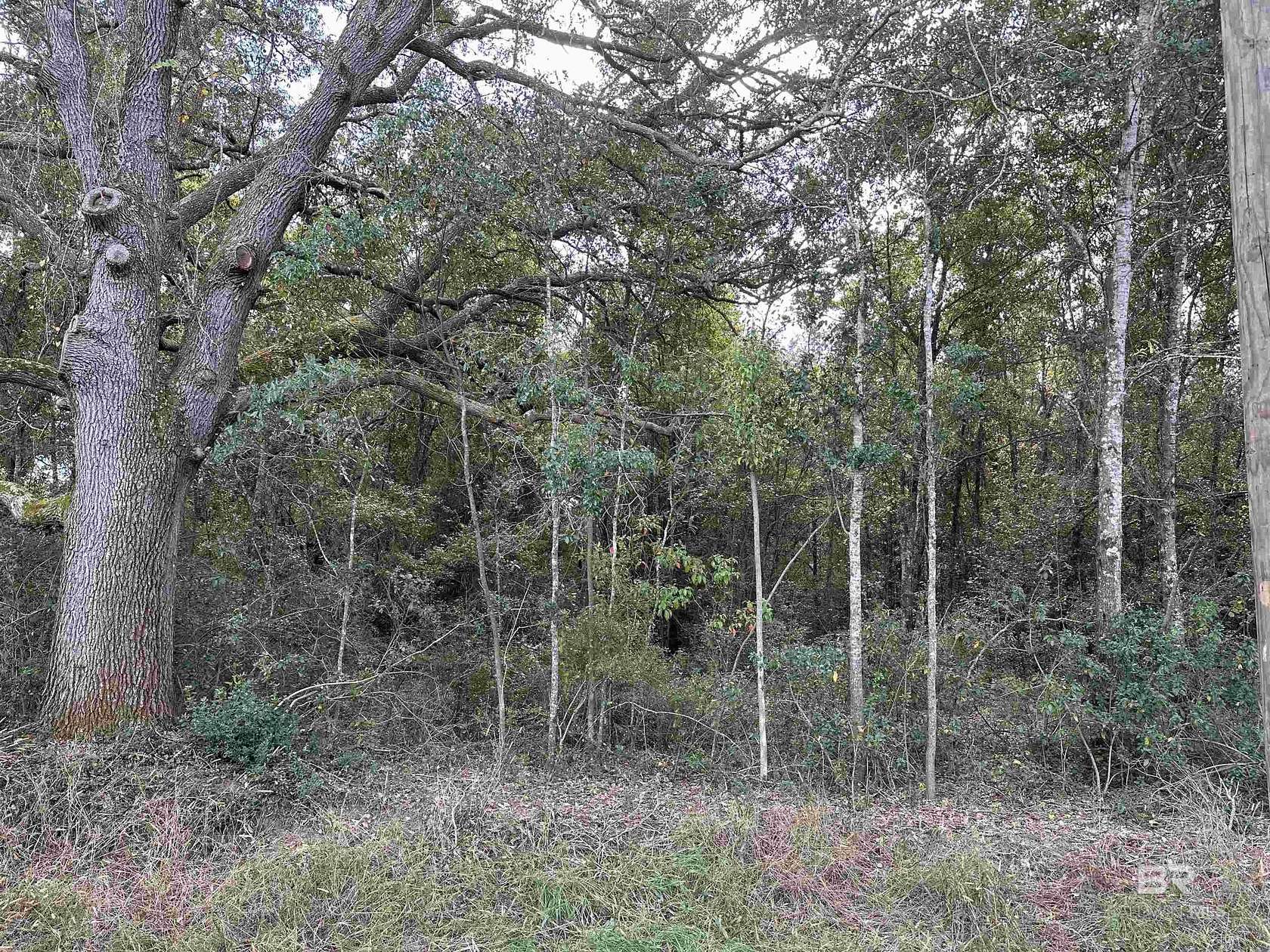 2.5 Acres of Residential Land for Sale in Lillian, Alabama