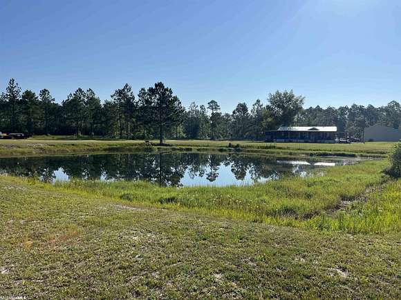 32.9 Acres of Land for Sale in Lillian, Alabama