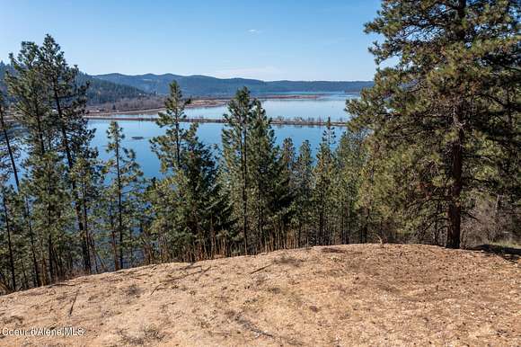 9.5 Acres of Land for Sale in Harrison, Idaho