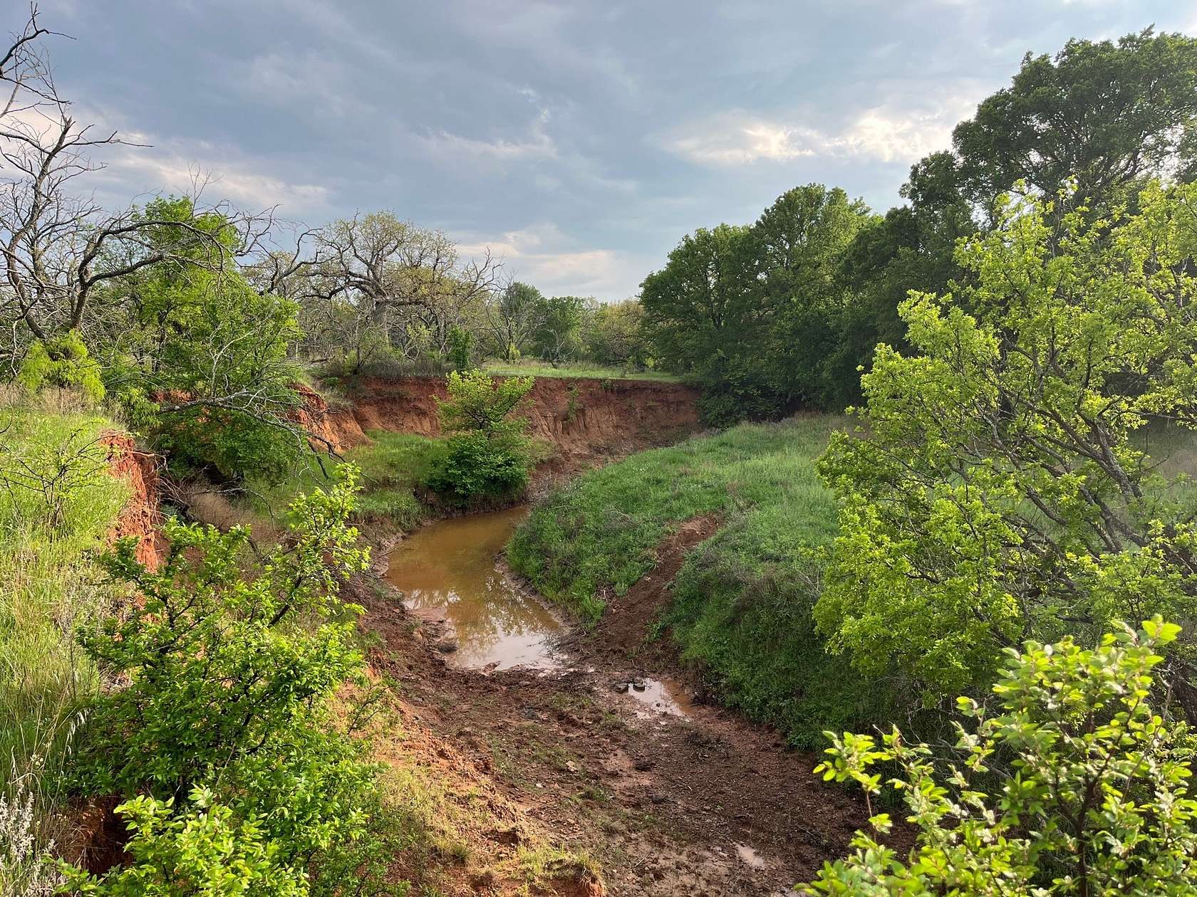 34.1 Acres of Land for Sale in Loving, Texas
