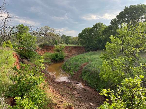 34.1 Acres of Land for Sale in Loving, Texas