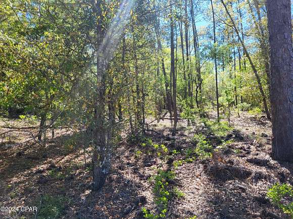 1.1 Acres of Residential Land for Sale in Alford, Florida