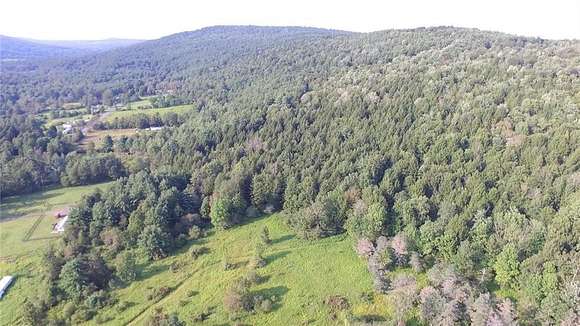 62.5 Acres of Recreational Land for Sale in Otego, New York