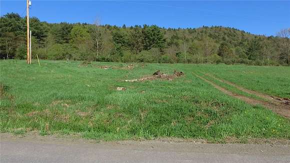 62.5 Acres of Land for Sale in Otego, New York