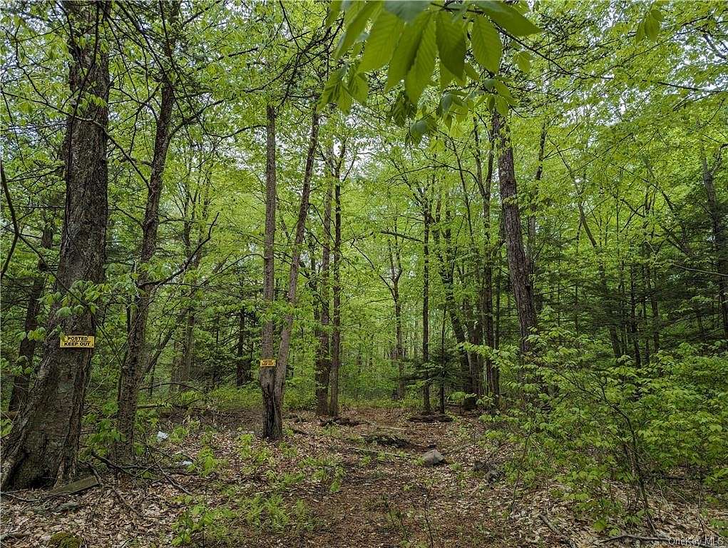 2.9 Acres of Land for Sale in Wawarsing, New York