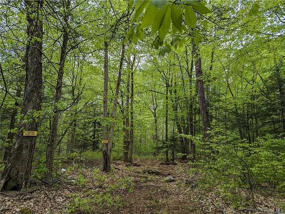 2.9 Acres of Residential Land for Sale in Wawarsing, New York