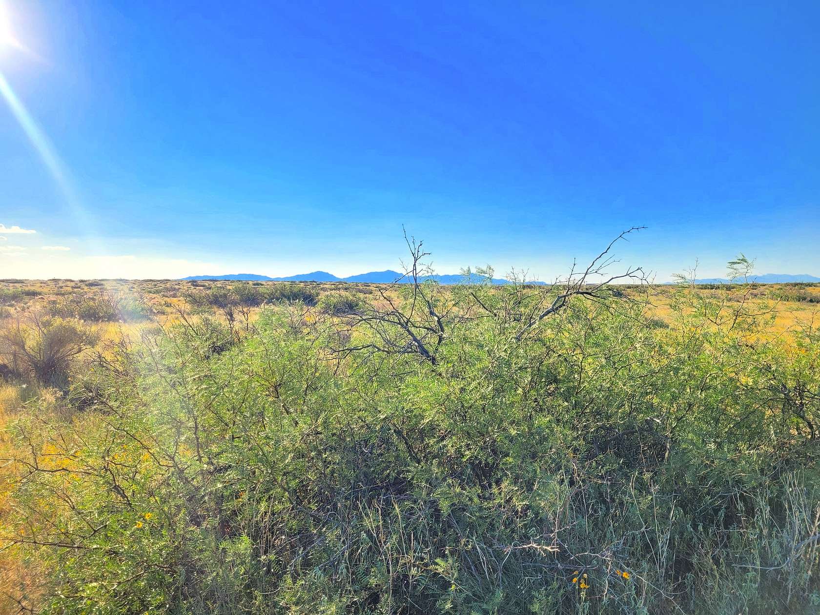 0.22 Acres of Residential Land for Sale in Clint, Texas