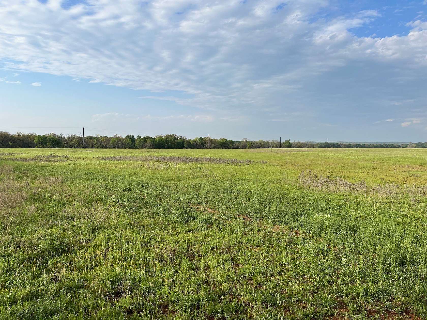 34.1 Acres of Land for Sale in Loving, Texas