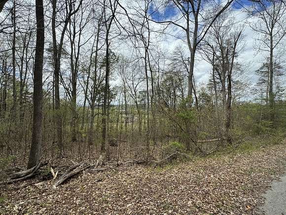 0.79 Acres of Residential Land for Sale in Decatur, Tennessee