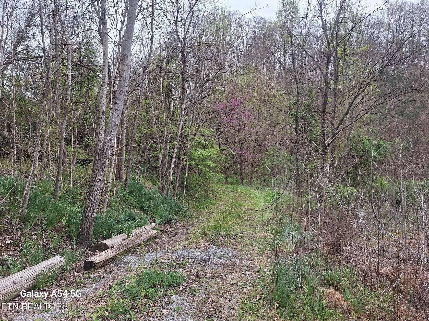 33 Acres of Land for Sale in Maryville, Tennessee