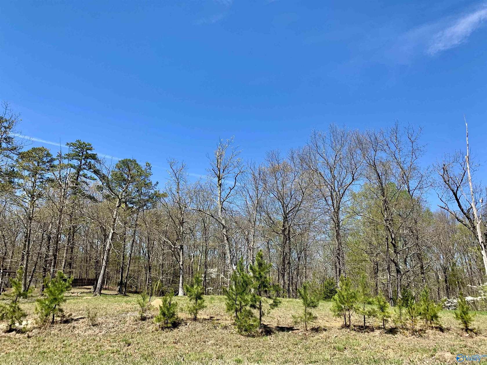 1 Acre of Land for Sale in Gurley, Alabama