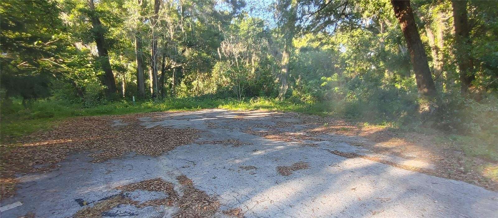 0.37 Acres of Residential Land for Sale in Ocala, Florida