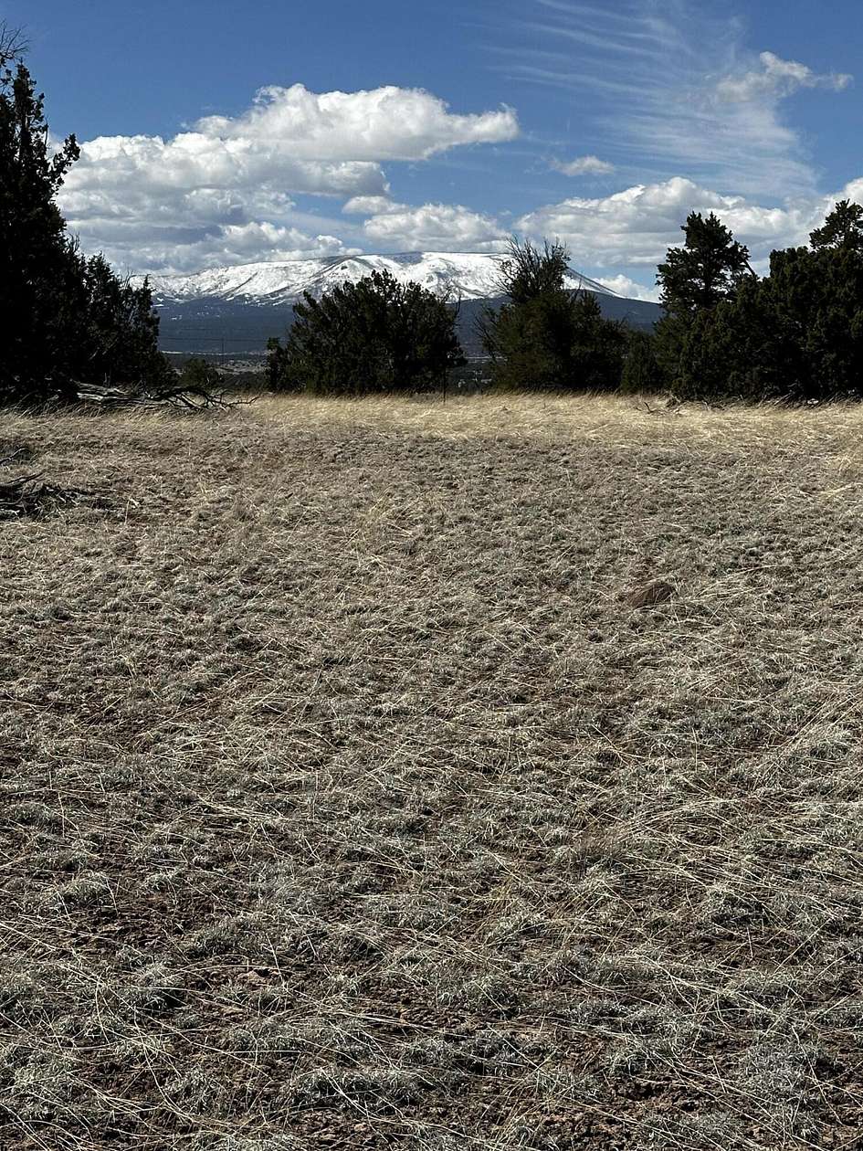 37.2 Acres of Recreational Land for Sale in Quemado, New Mexico