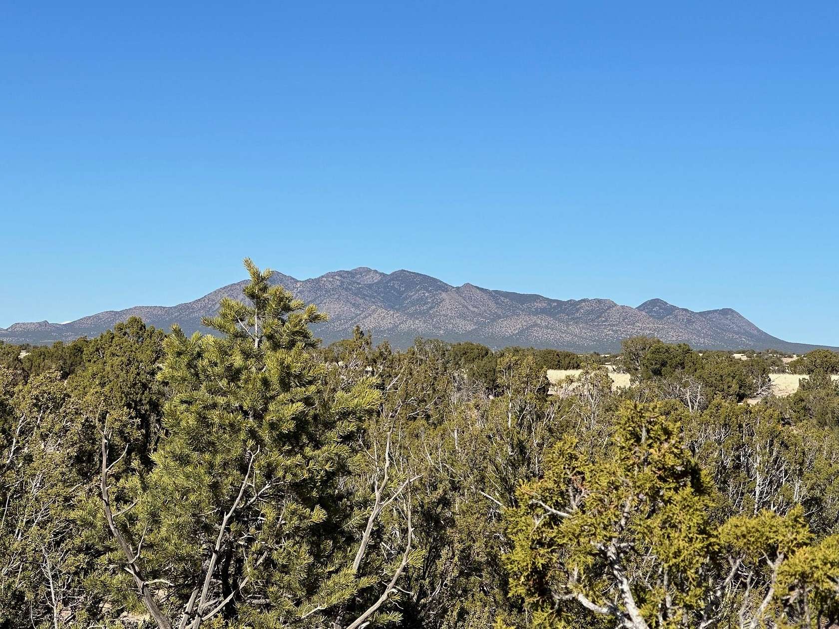 3.1 Acres of Residential Land for Sale in Sandia Park, New Mexico