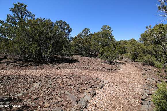 4.82 Acres of Residential Land for Sale in Concho, Arizona