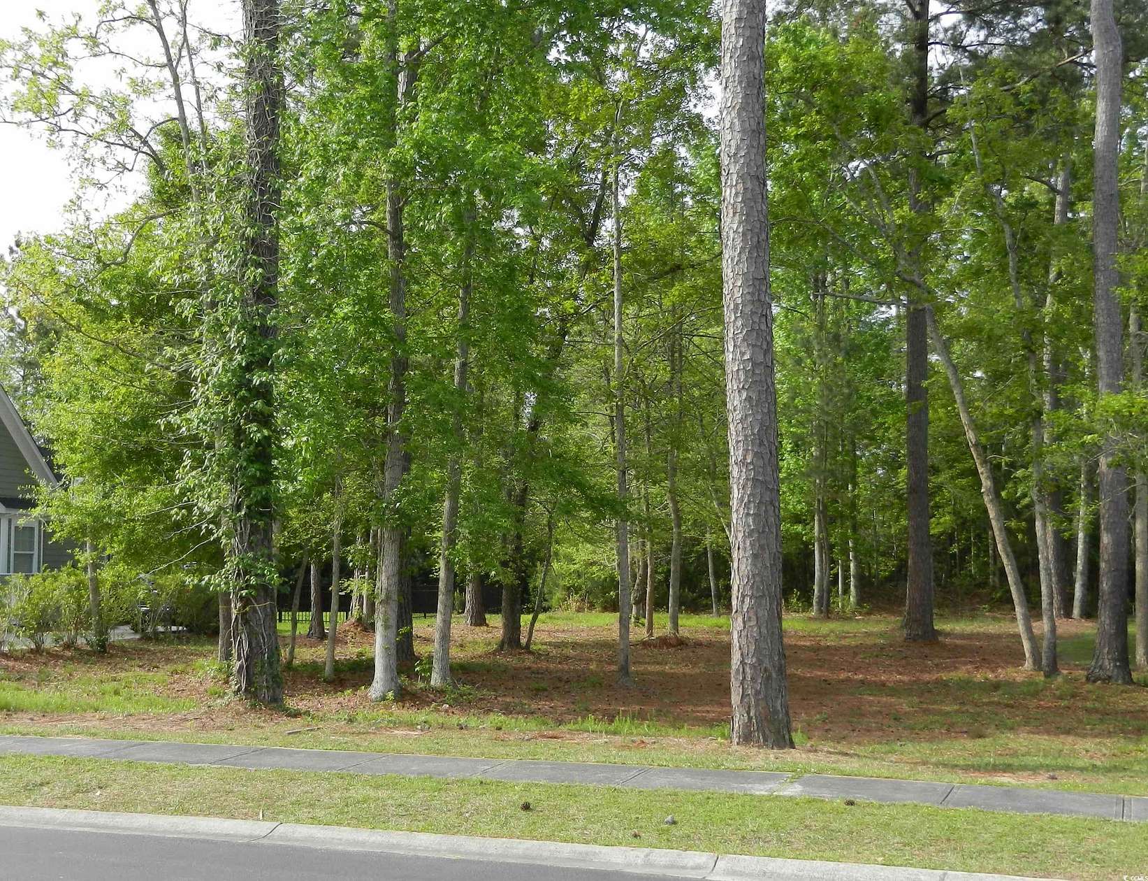 0.48 Acres of Residential Land for Sale in Myrtle Beach, South Carolina
