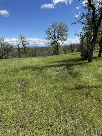 40 Acres of Agricultural Land for Sale in Cottonwood, California