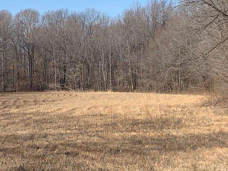 9.5 Acres of Residential Land for Sale in Medina, Tennessee